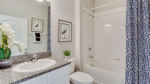 11892 Frost Aster Dr, Riverview FL 33579 exterior