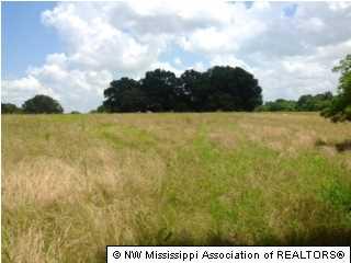 123 Brownsferry Rd, Senatobia, MS 38668-2531