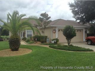 17355 Eagle Trace Dr, Brooksville, FL 34604-9268