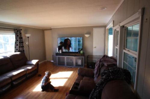 1032 Cherry Tree Xing, Breinigsville PA  18031-1608 exterior