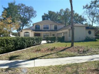 1924 Palm Vista Dr, Apopka, FL 32712-2453