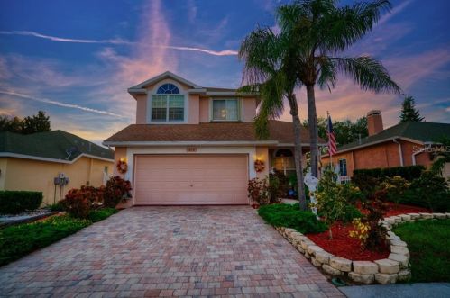 1872 Briland St, Tarpon Springs, FL 34689-1965