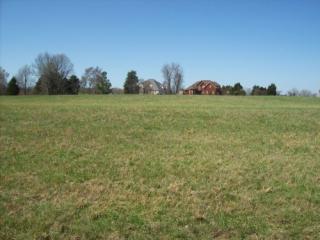 50 Calloway Cv, Medina, TN 38355-8929