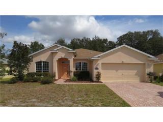 16203 14th Avenue Rd, Ocala, FL 34473-8940