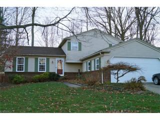 424 Woodlake Dr, Medina, OH 44256-2940