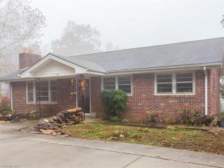 159 Old Zirconia Rd, Zirconia NC  28790-9796 exterior