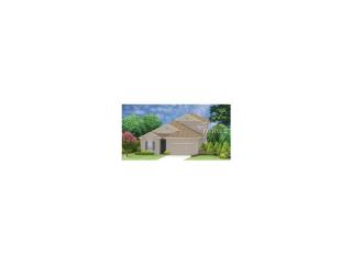 2901 Top Water Way, Kissimmee, FL 34746-4525
