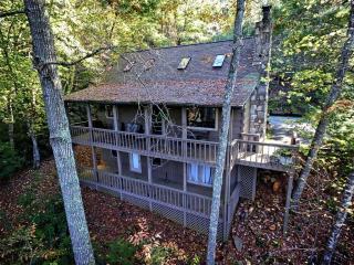 145 Fork Mountain Ln, Canton, NC 28716-7570