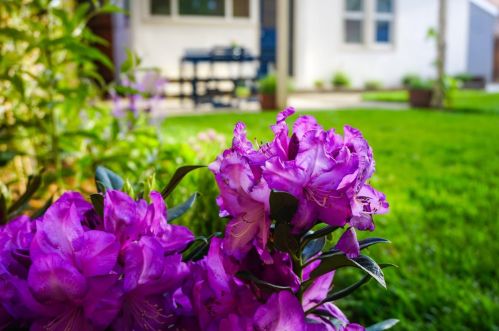 817 Cross St, Woodland CA  95695-4040 exterior