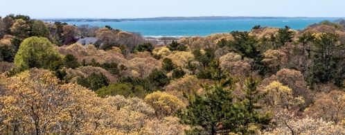 39 Telegraph Hill Rd, Falmouth, MA 02540-2034