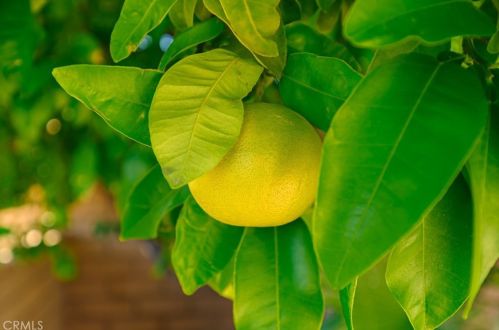 64329 Spyglass Ave, Desert Hot Springs CA  92240-1204 exterior