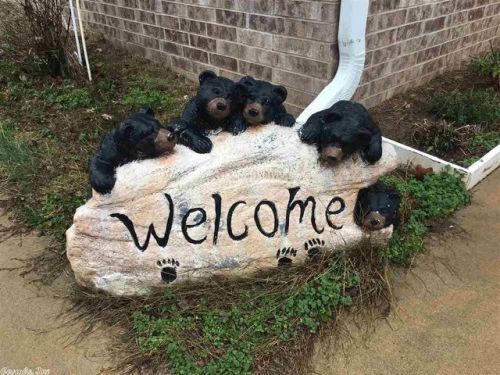 179 Pickens Mountain Rd, Searcy, AR 72143-9514