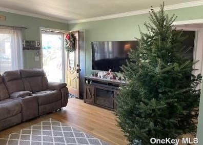 493 Monroe Ave, North Lindenhurst, NY 11757-3522