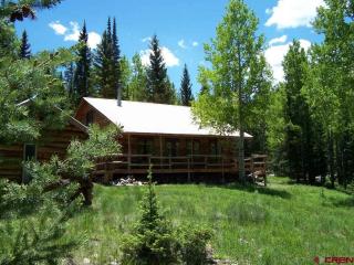 401 Spruce Rd, Cimarron, CO 81220-9509