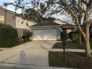 10332 River Bream Dr, Riverview, FL 33569-2720