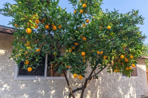 1955 Modoc Dr, Chico CA  95928-4138 exterior