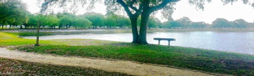 817 Oriole Cir, Sebastian FL  32976-7520 exterior