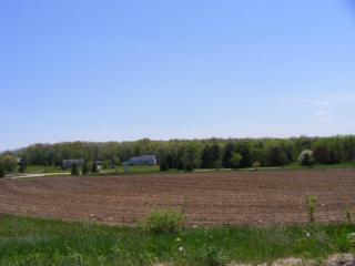 28421 Coyote Cir, Lyons, WI 53105-9374
