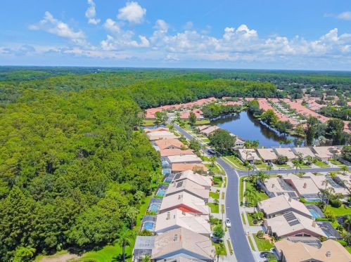 3664 Darston St, Palm Harbor FL  34685-1182 exterior