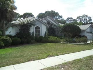 4986 Turtle Crk Trl, Oldsmar FL  34677-1969 exterior