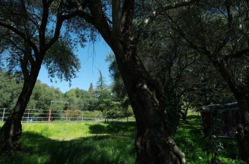 1500 Gold Hill Rd, Newcastle CA  95658-9245 exterior