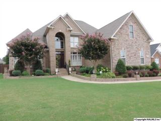 115 Autumn Wind Dr, Madison, AL 35758-8007