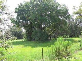 6705 Gold Leaf Pt, Dunnellon, FL 34433-6313