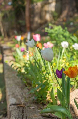 8648 Timber Ct, Citrus Heights CA  95662-4451 exterior