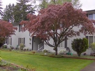 15806 98th Ave, Puyallup, WA 98375-8926