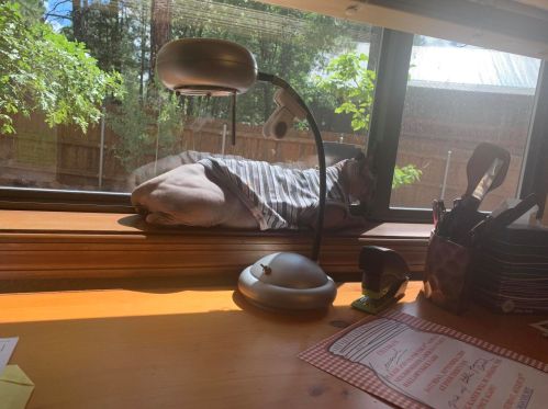 4843 Sweeping Vista Dr, Pinetop AZ  85935-8598 exterior