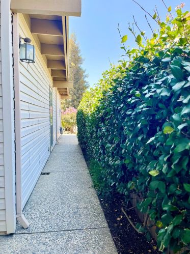 924 Del Oro Pl, Woodland, CA 95695-5047