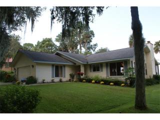 1642 Lake George Rd, Seville, FL 32190-7803