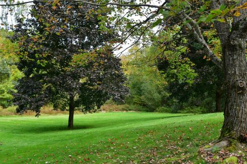 11 Deer Hollow Rd, Plaistow NH  03865-2119 exterior