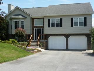 133 Royal Oaks Dr, Jonesborough, TN 37659-4859