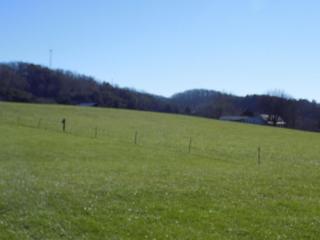 990 Mountain Rd, Clinton, TN 37716-6840