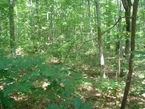 146 Berkshire Loop, Crossville TN  38558-7147 exterior