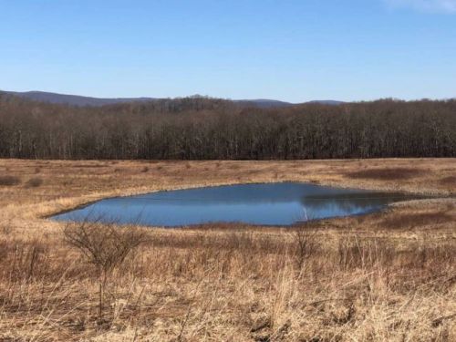 343 Wirsing Rd, Gibbon Glade, PA 15440-1132