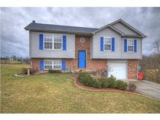 700 Rosalind Ct, Richmond KY  40475-8480 exterior