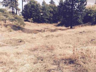 2129 Freya St, Spokane, WA 99217-7245