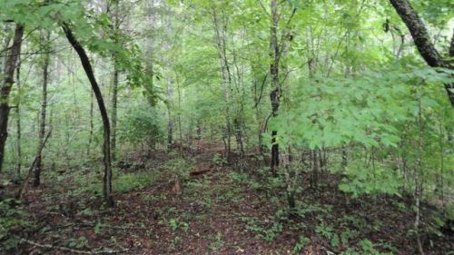 671 Childers Creek Rd, Reliance, TN 37369-4020