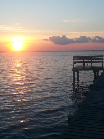 75 Shoreline Rd, Columbia, NC 27925-8624
