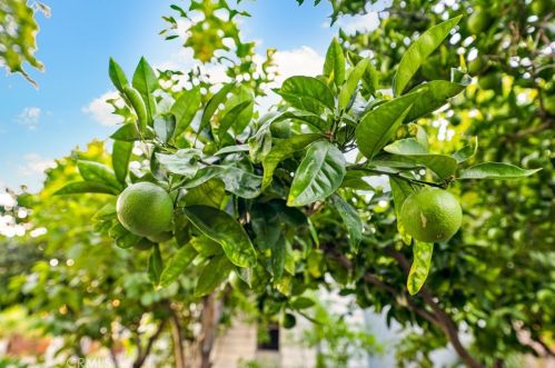 14833 Saticoy St, Van Nuys CA 91406-2129 exterior