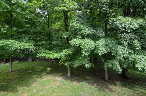 1275 Mcguffey Ln, Stonelick OH  45103-1148 exterior