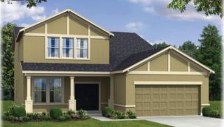 1702 Fox Grape Loop, Lutz FL  33558-3304 exterior