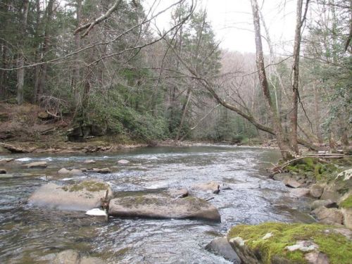 533 Kincaid Kingston Rd, Scarbro, WV 25917-8195