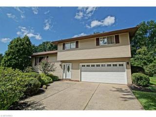 8441 Seaton Pl, Concord Township, OH 44060-6021