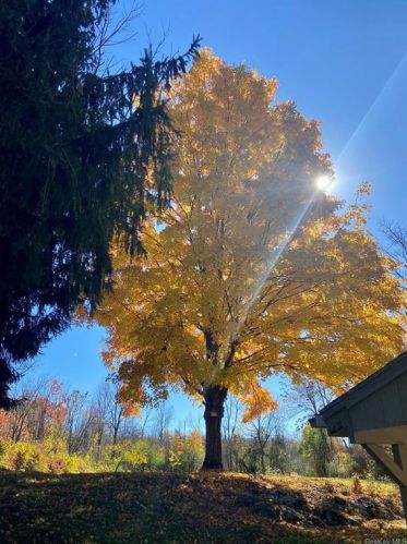 5 Court Ln, Fishkill NY  12524-2432 exterior