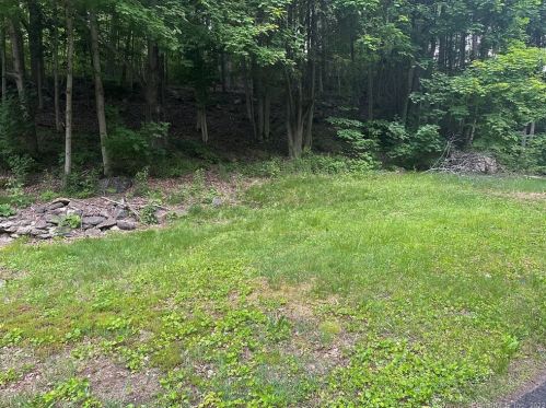 17 Ashpohtag Rd, Norfolk CT  06058-1005 exterior