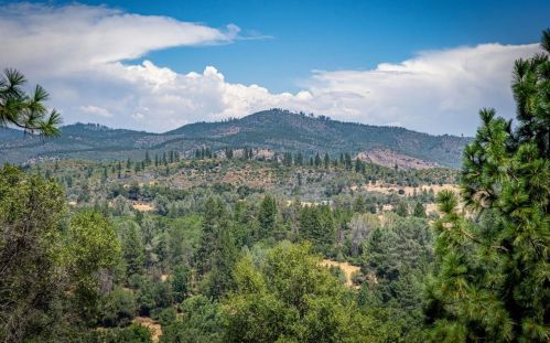 21891 Ferretti Rd, Groveland, CA 95321-9727