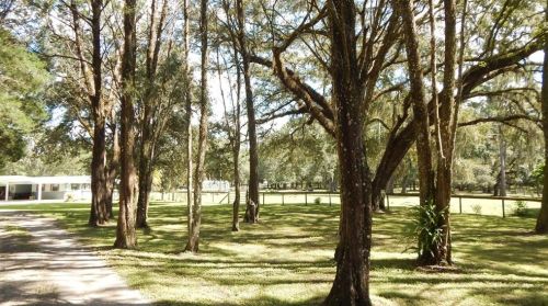 17639 Palamino Lk Dr, Dade City FL 33523-1949 exterior